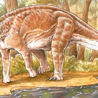 Descubren una nueva especie de dinosaurio titanosaurio en Neuquén