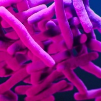 Uso excesivo de antibióticos «por si acaso» durante la COVID-19 agrava la resistencia bacteriana